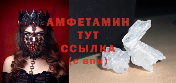 молекула духа Новозыбков