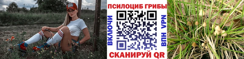 Галлюциногенные грибы ЛСД  Кадников 